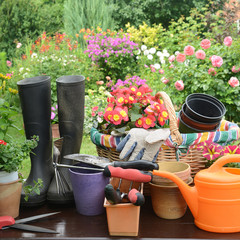 Garten 677