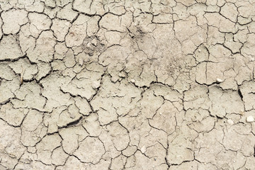 parched earth / parched earth in a field