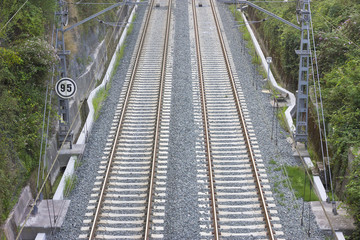 View from above of two train tracks among vegetation.