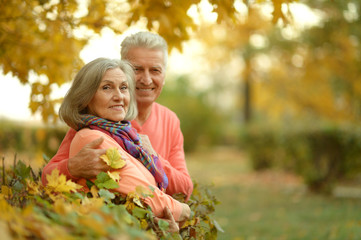 Fototapeta premium Senior couple in autumn park