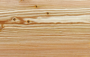 Obraz premium Larch tree - natural wooden texture