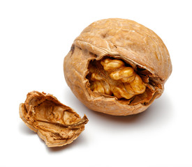 Walnut