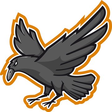 Black crow vector illustration. Good as image or team symbol