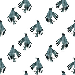 series of patterns of crows
watercolors