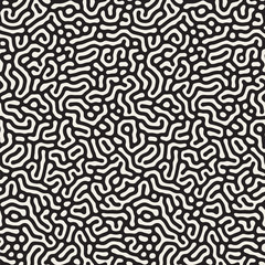 Vector Seamless Black and White Organic Lines Pattern