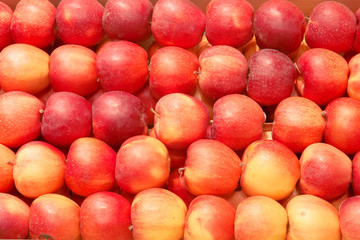 Red Apple Background at open air market