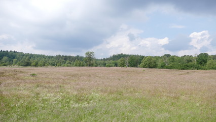 Lüneburger Heide