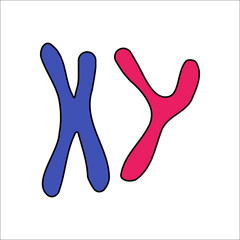 X and Y chromosome flat sign icon on background