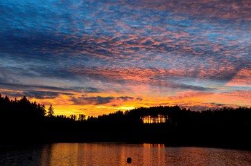 Obraz premium Sunset Shinethrough