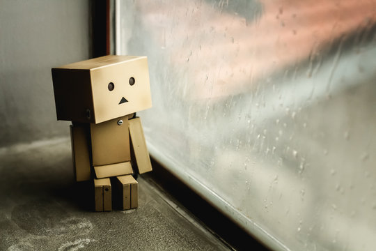 Danbo holding a flowers with the sad face. Danbo first appeared in chapter 28 of the manga,first issued in April 2006.The Japanese company Kaiyodo has produced since late 2007