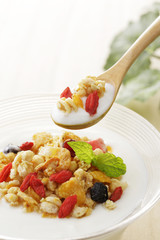 ヨーグルト グラノーラ  Yogurt granola