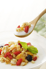 ヨーグルト グラノーラ  Yogurt granola