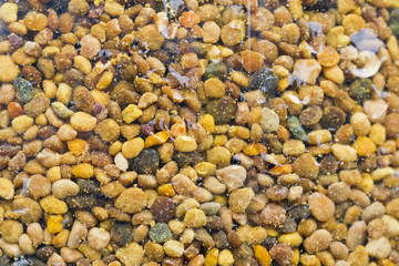 Yellow and brown pieces of pollen, background