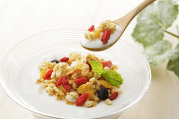 ヨーグルト グラノーラ  Yogurt granola