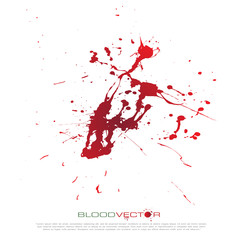 Blood splatter isolated on white background, vector design