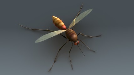 Obraz na płótnie Canvas Mosquito