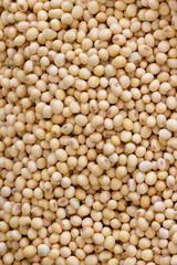 Soybean background