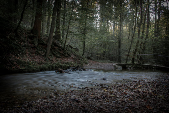 Ein Bach flie&szlig;t durch einem d&uuml;steren Wald