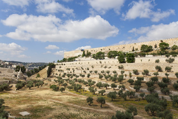 Fototapeta na wymiar Mury Jerozolimy