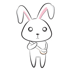 cute bunny on white background