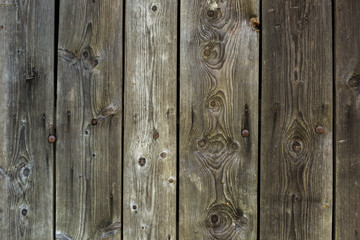 Grunge grey and brown weathered wood  background. Horizontal photo of vintage wood rustic door or fence. Grunge wooden weathered oak or pine textured planks of aged grey and brown color.