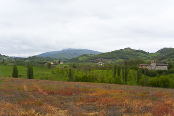 Krajobraz wiejski