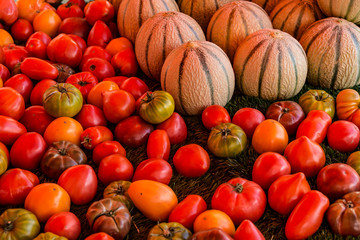 Tomate und Melone