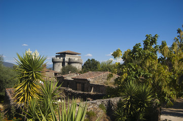 Granadilla