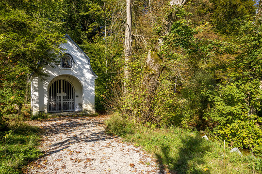Verwunschene Ruhest&auml;tte an einem kleinen Bach im Wald