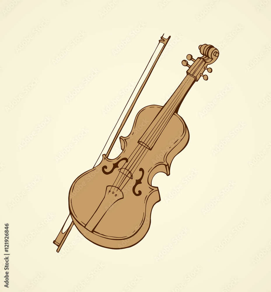 Wall mural Vector line drawing of a violin and bow