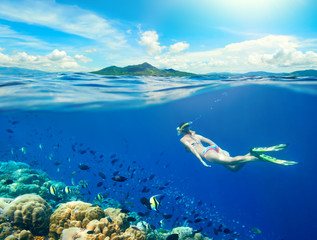 Frau schwimmt um ein Korallenriff, umgeben von einer Vielzahl von Fischen auf den Hintergrundinseln... Nord-Sulawesi, Indonesien.