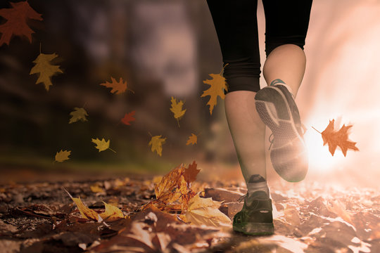Lauf in den Herbst