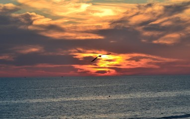 atardecer