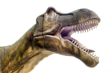 Sculpture of dinosaur ( Tyrannosaurus rex ) in live size with open jaws. Isolated. Clipping Path included.