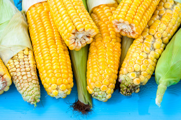 Sweet corn cob on wooden table
