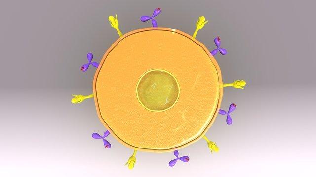 Plasma Cell 