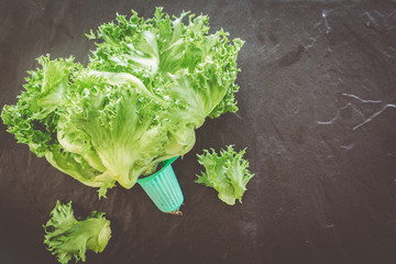 Green vegetables on black background - healthy eating concept