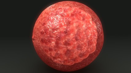 Human Egg blast