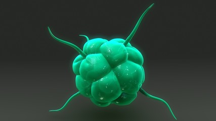 Macrophage