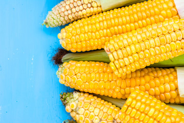 Fresh corn cob on wooden table, overhead