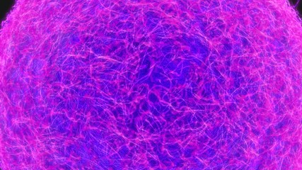 Ovum