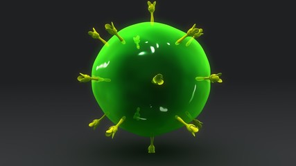  T Helper Cell
