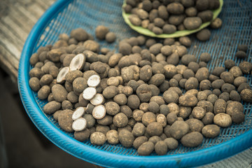 Barometer Earthstars