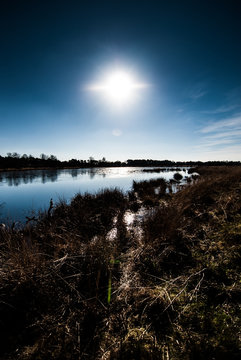 Sun over fen in Kampina Netherlands