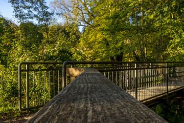 Brücke über einen Bach im Herbstwald