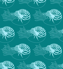 seamless pattern made of Nautilus Pompilius