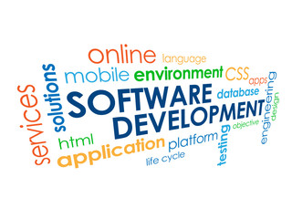SOFTWARE DEVELOPMENT Vector Tag Cloud