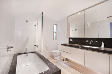 Bathroom of the luxurious house
