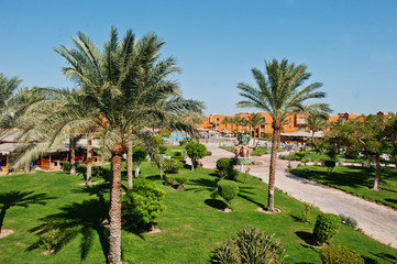 Fototapeta na wymiar Palms trees on garden of resort at sunny day