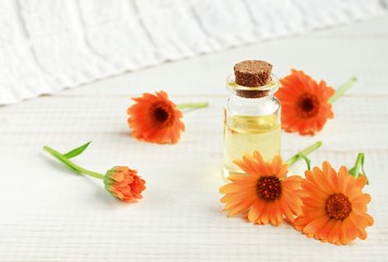 Bottle of Herbal infused calendula oil, bright orange flowers. Natural healing skincare cosmetic...